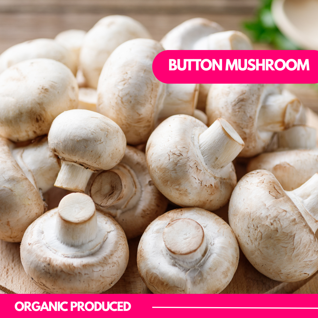 Button Mushroom 1 KG