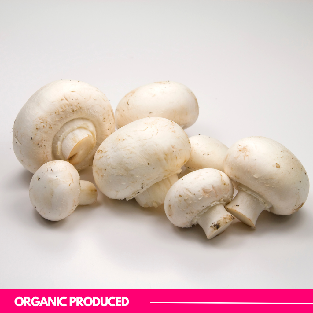 Button Mushroom 1 KG