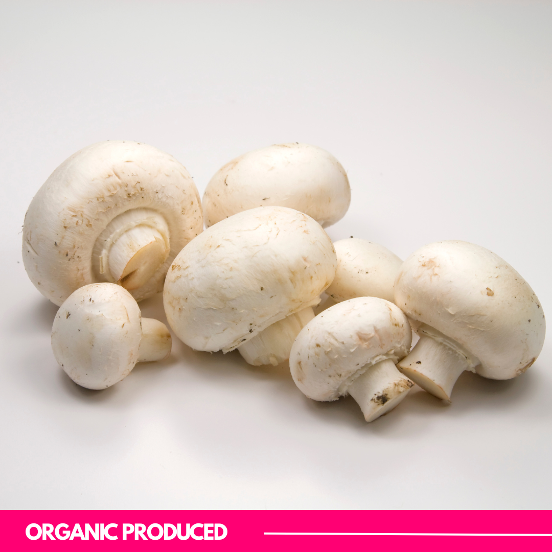 Button Mushroom 1 KG