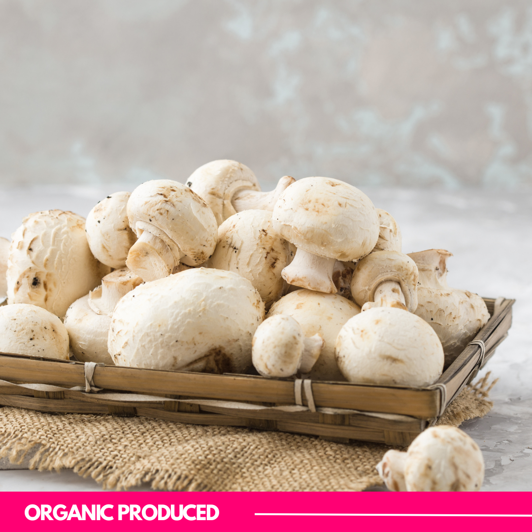 Button Mushroom 1 KG