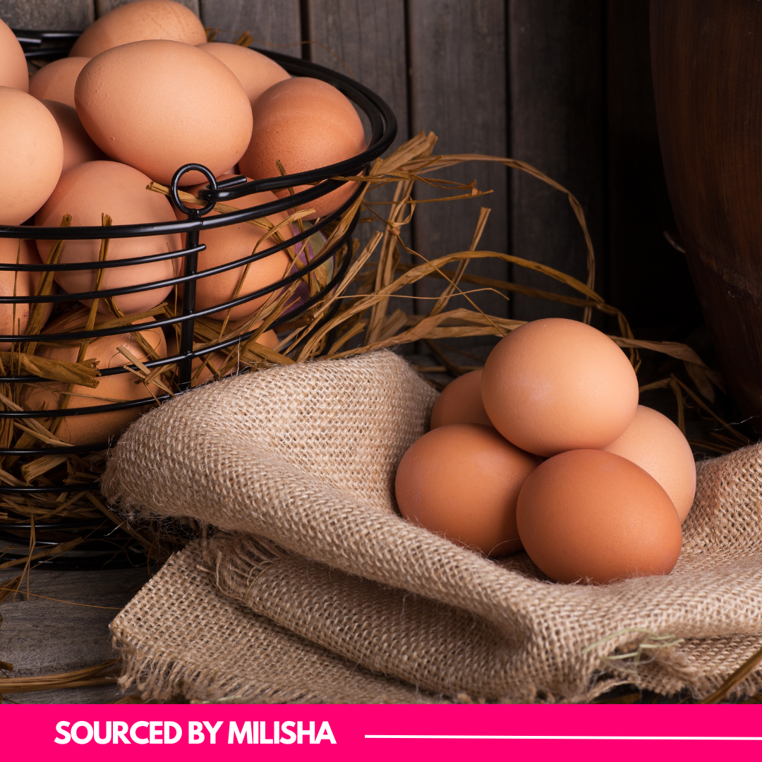 Brown EGGS 12 PCS