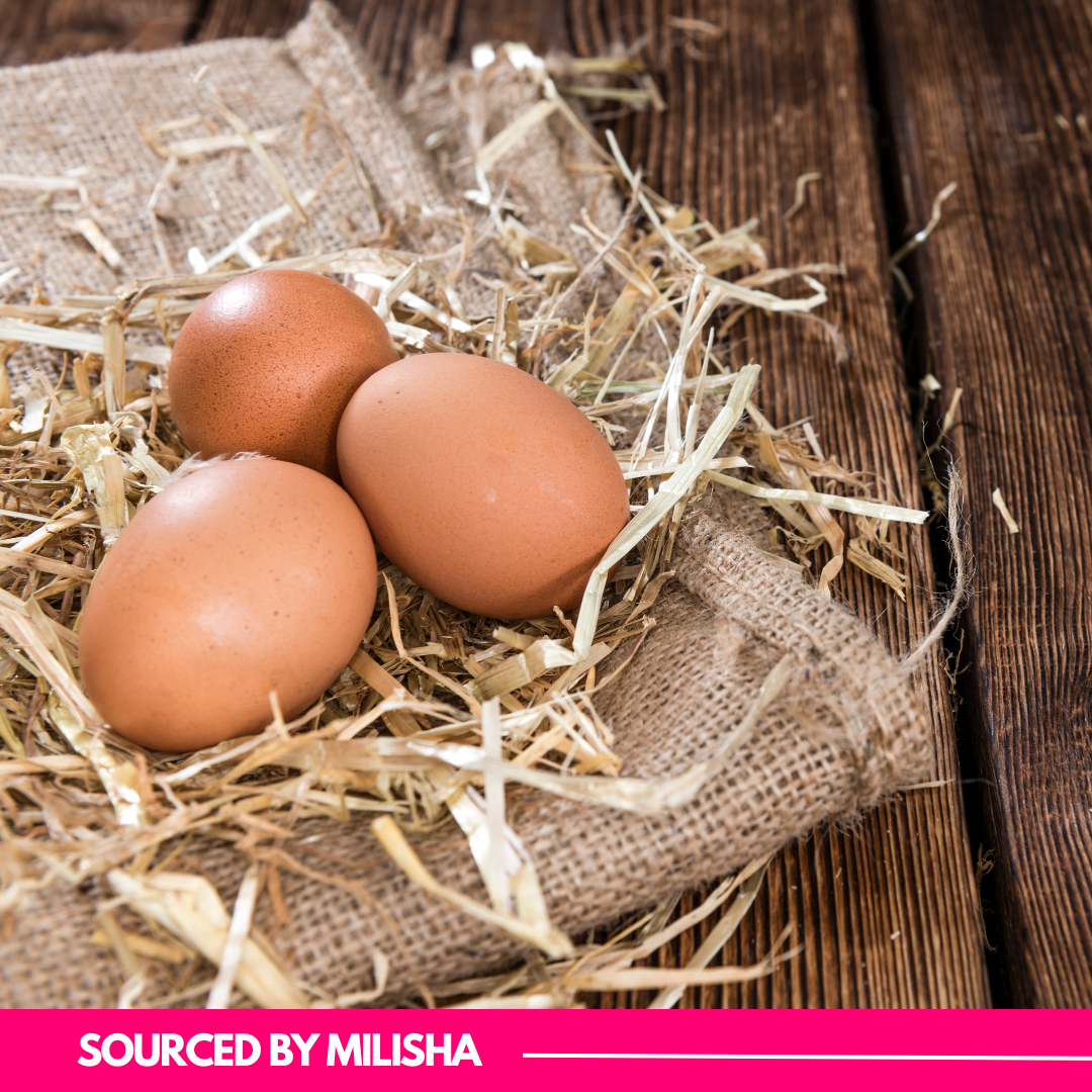Brown EGGS 12 PCS