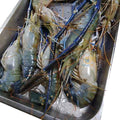 Golda Chingri